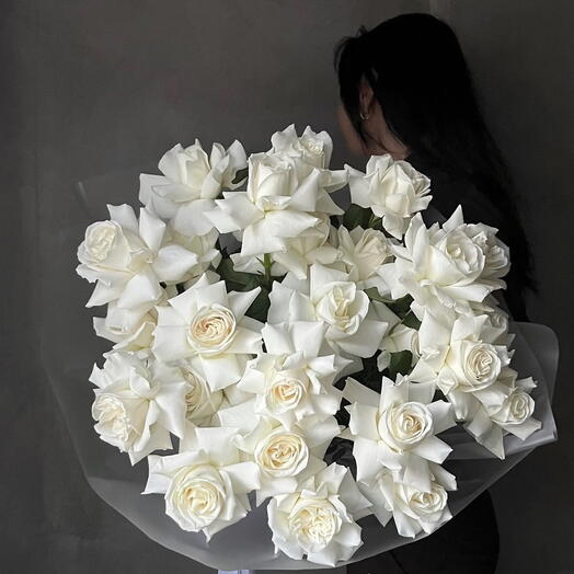 Люмина Рефлекс