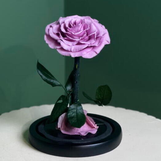 Стабилизированная роза лаванда