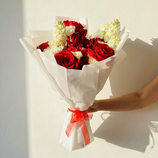 Arctic Elegance - A Bold Blend of Red and White