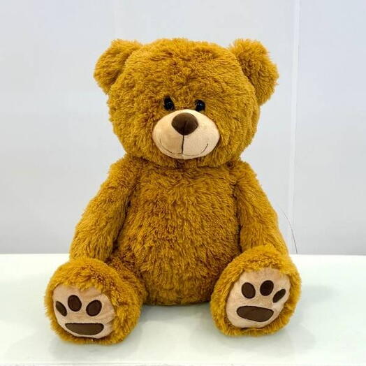 Dreamy Cuddle Teddy Bear 60cm