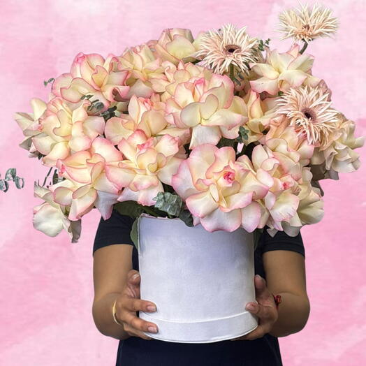 Blush Sorbet Elegance