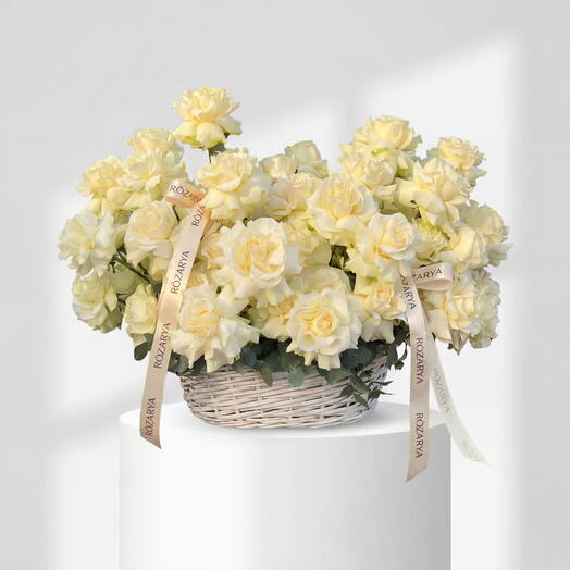 Cream Garden Roses: The Ivory Serenity