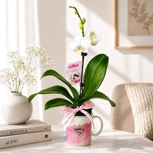 Mother s Day White Orchid Plant With Mug Arrangement