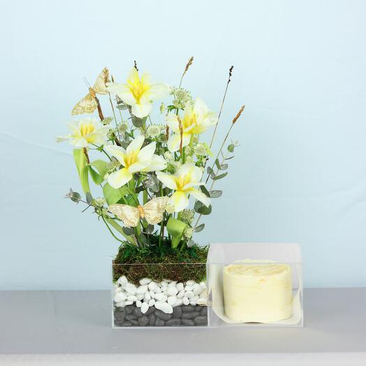 Lovely Tulips and Cake