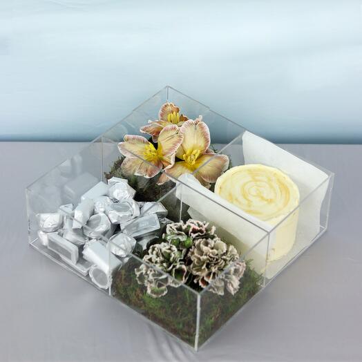 Cake And Chocolates Joy