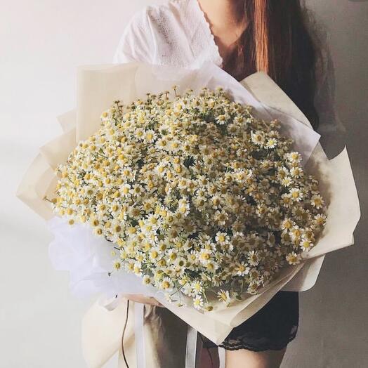 Bouquet of 101 chamomile