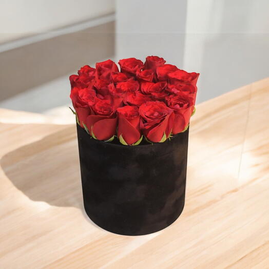 Caja de flores Flor de medianoche