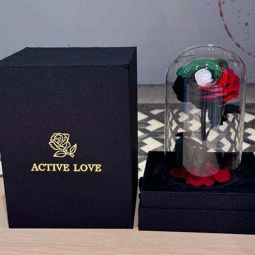 Solo Emirates Para Siempre