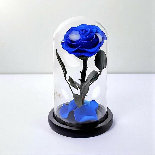 Single blue infinity