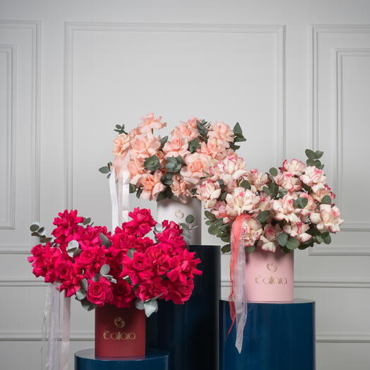 Fuchsia, Harmony, Blush Bloom Box