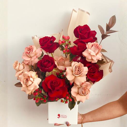 Cramoisi Moka Élégance