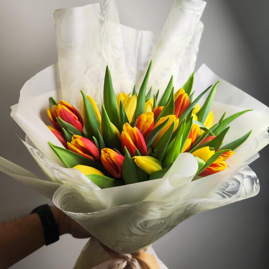 RBR Golden Sunrise Tulip