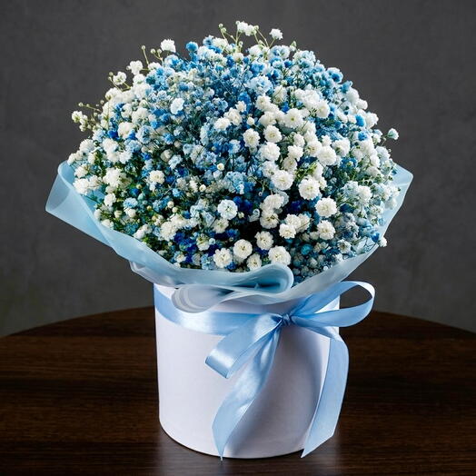 Snow   Sky 15 – Gypsophila Box