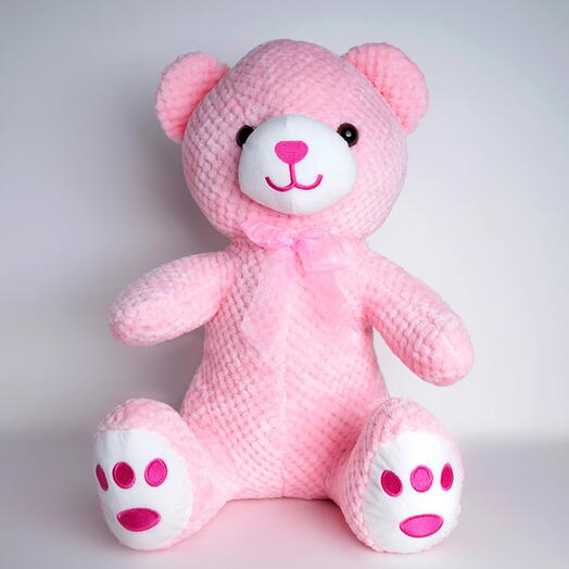 Pink Teddy Bear-2821