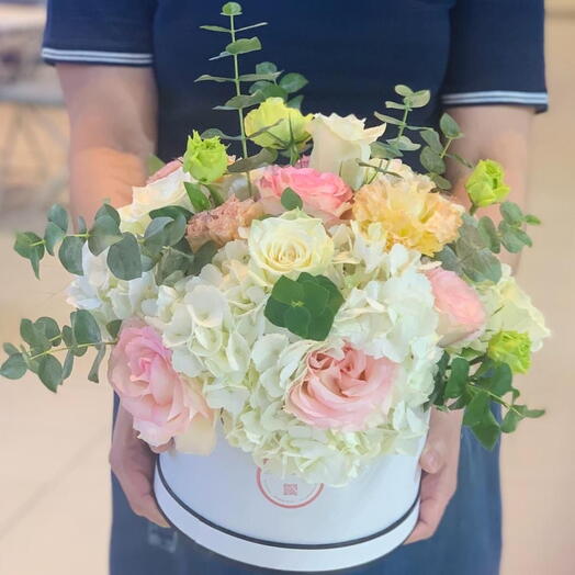 Hydrangia   Eastmo And Nice Box