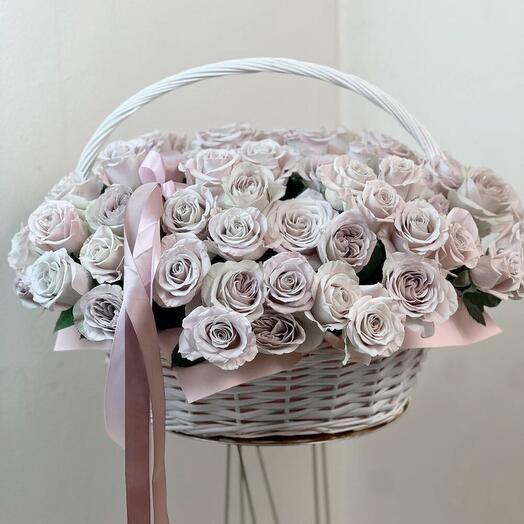 Premium lilac rose