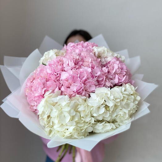 Шёпоты гортензии