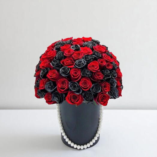 Coffret Passion de Minuit