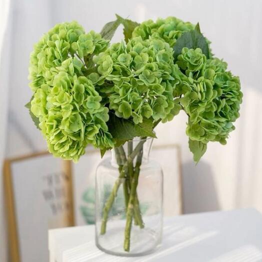 Green Hydrangea vase