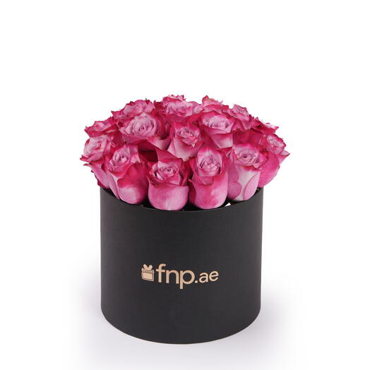 Purple Dusk in Black Box