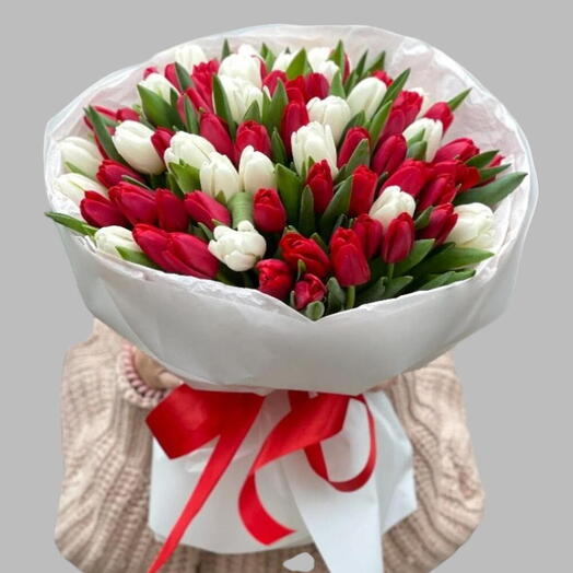 49 классических красно-белых тюльпанов для девушки