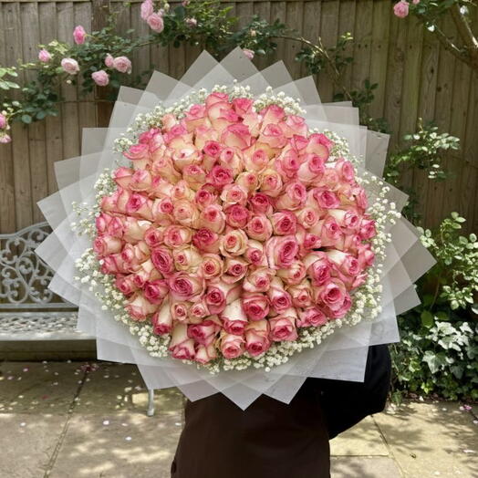 Премиум 101 Розовые Розы XL Роскошный Букет