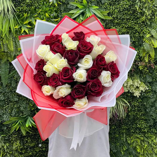 Love in Harmony - 31 Red and White Roses