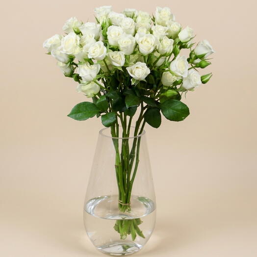 White Spray Rose Vase 1130