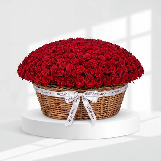 Красные розы: Великолепный шедевр