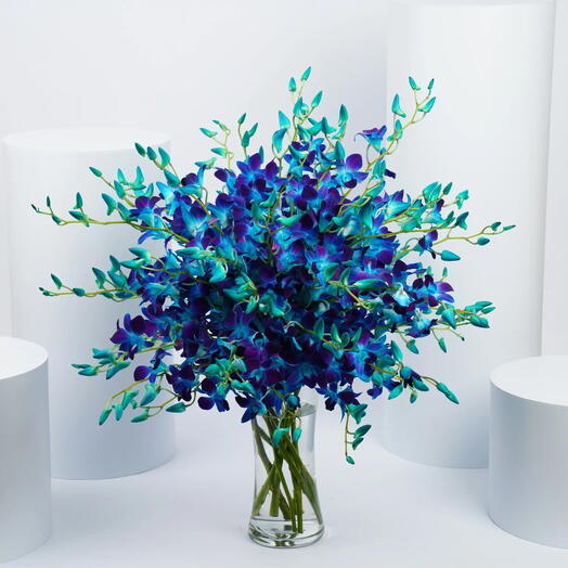 Blue and Purple Orchid Flower Arrangement
