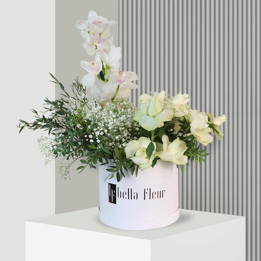 Agnes Bella Box - Большой