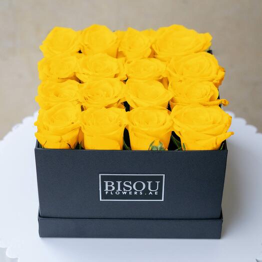 Коробка солнечного света