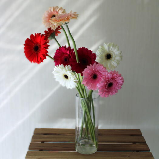 Gerbera Mix Vase 1136