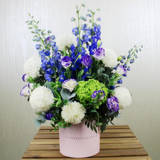 Delphinium Hydrangea Box 1167