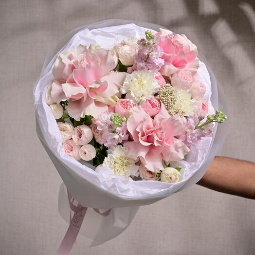 Розовый румянец  6579