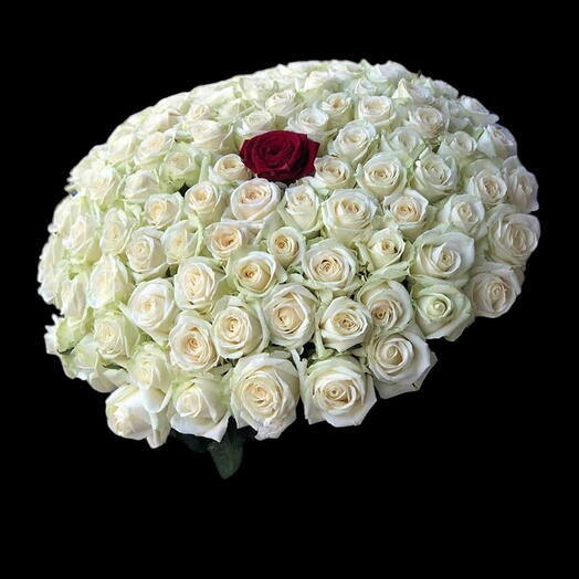 Beauté et Amour 101