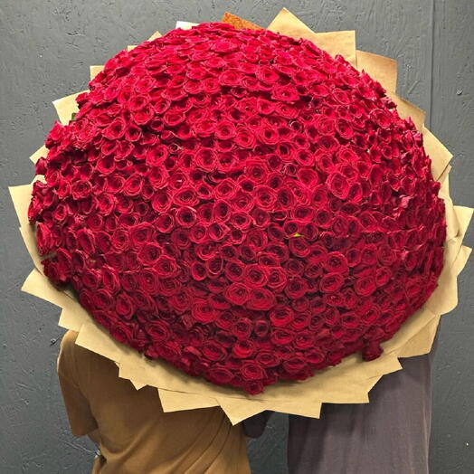 501 Red Roses Bouquet