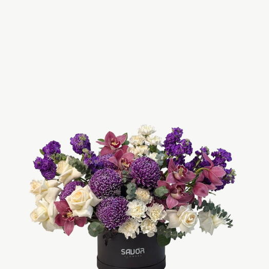 Orchid Dusk Symphony