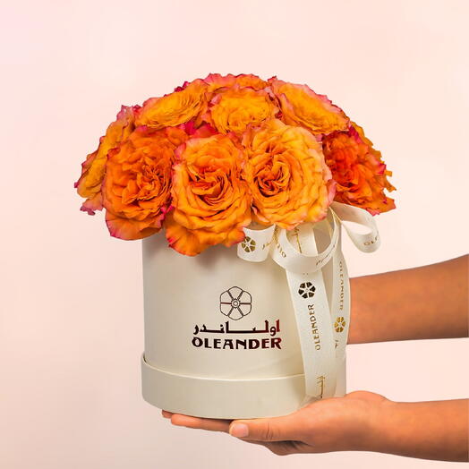 CAJA PUESTA DE SOL ALTA COSTURA