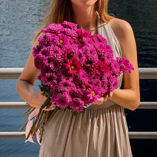 Elegant 15 Purple Chrysanthemum