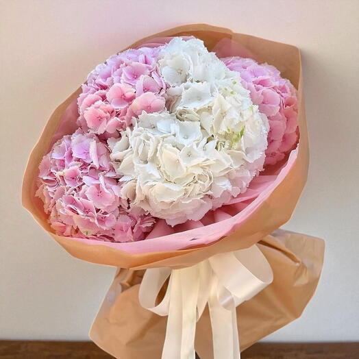 HYDRANGIA MIX IN A BQT