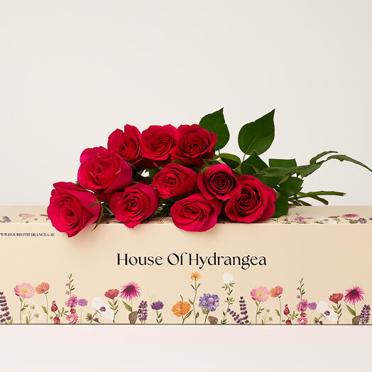 Petit Cerise wholesale - 10 stems