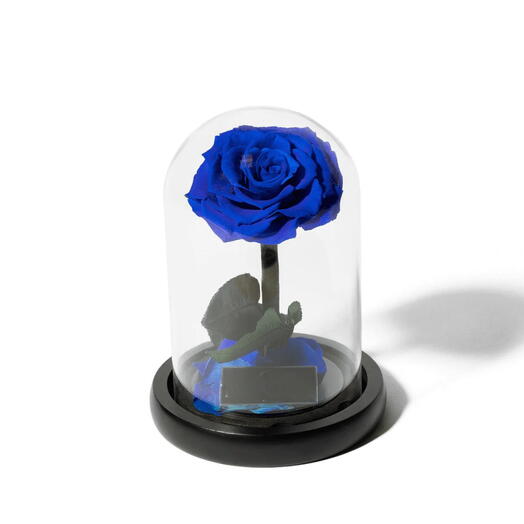 Infinity Rose- Blue