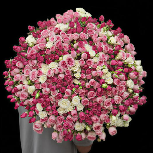 Spray baby roses Bloomy