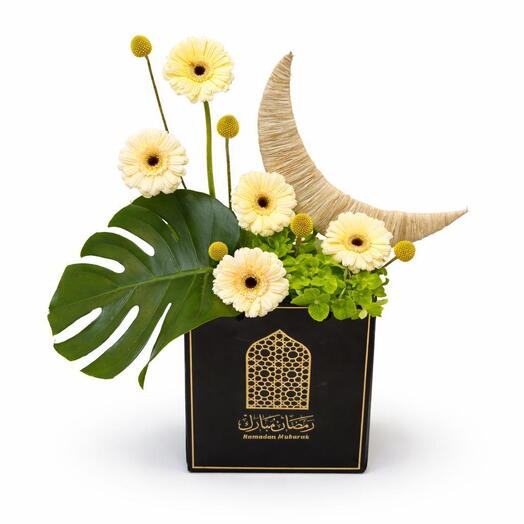 Лунная элегантность