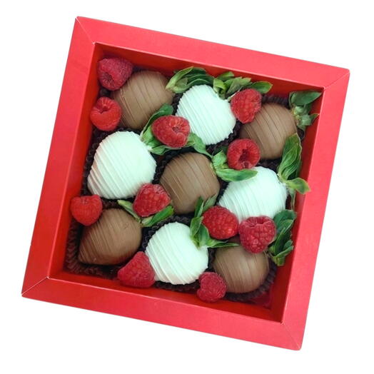 Aisha Duo Box - SMALL