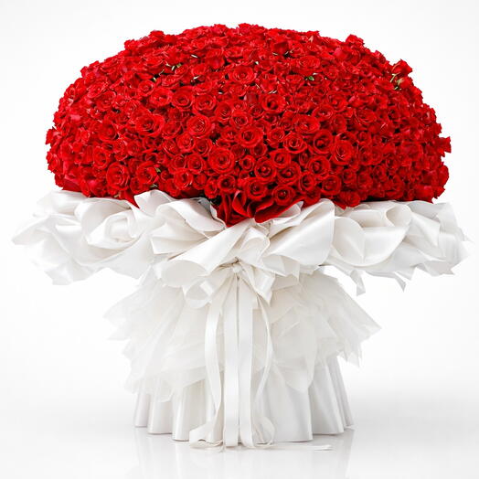 Romance intemporelle : 999 roses rouges en emballage blanc premium
