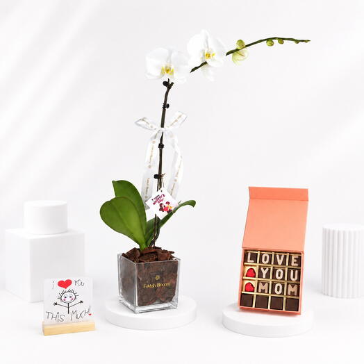 White Phalaenopsis Orchid Plant with Mom Chocolate Box