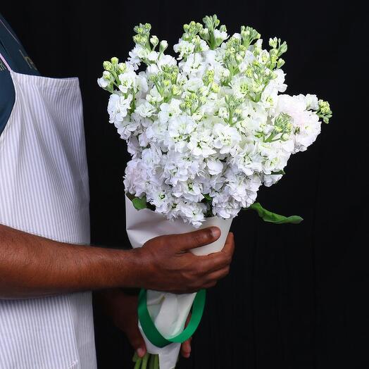 21 White matthiola Bouquets-579