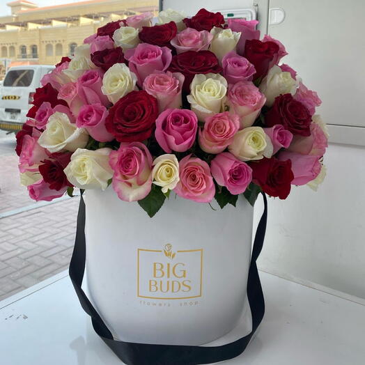 BBF Ask Laftan Box/One Side Face Arrangement